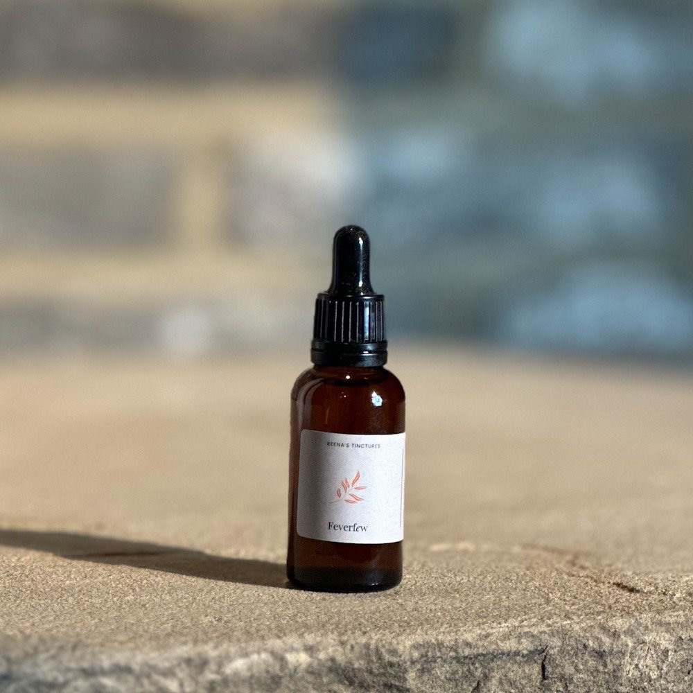 feverfew-tincture-extraction-reena